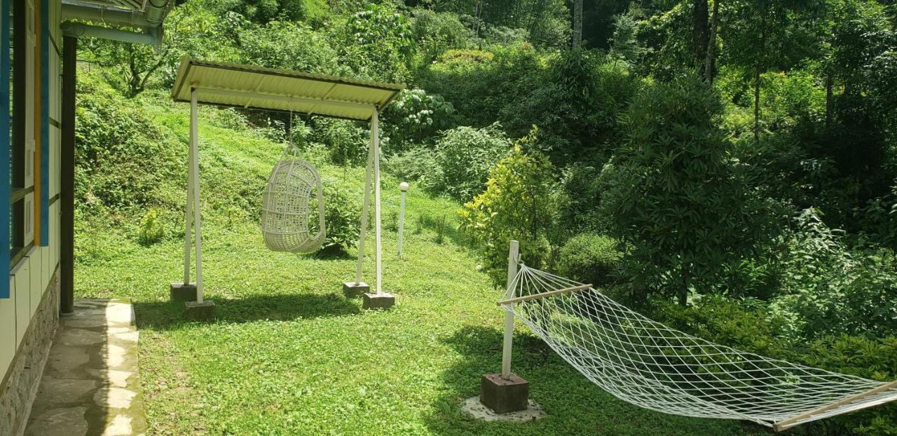 The Nettle And Fern Farmstay Pelling Exterior photo