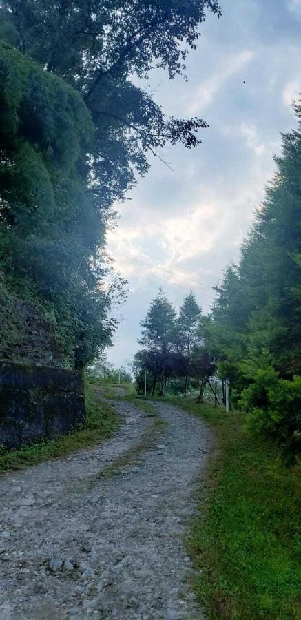 The Nettle And Fern Farmstay Pelling Exterior photo