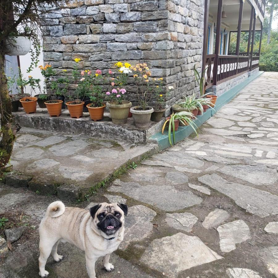 The Nettle And Fern Farmstay Pelling Exterior photo