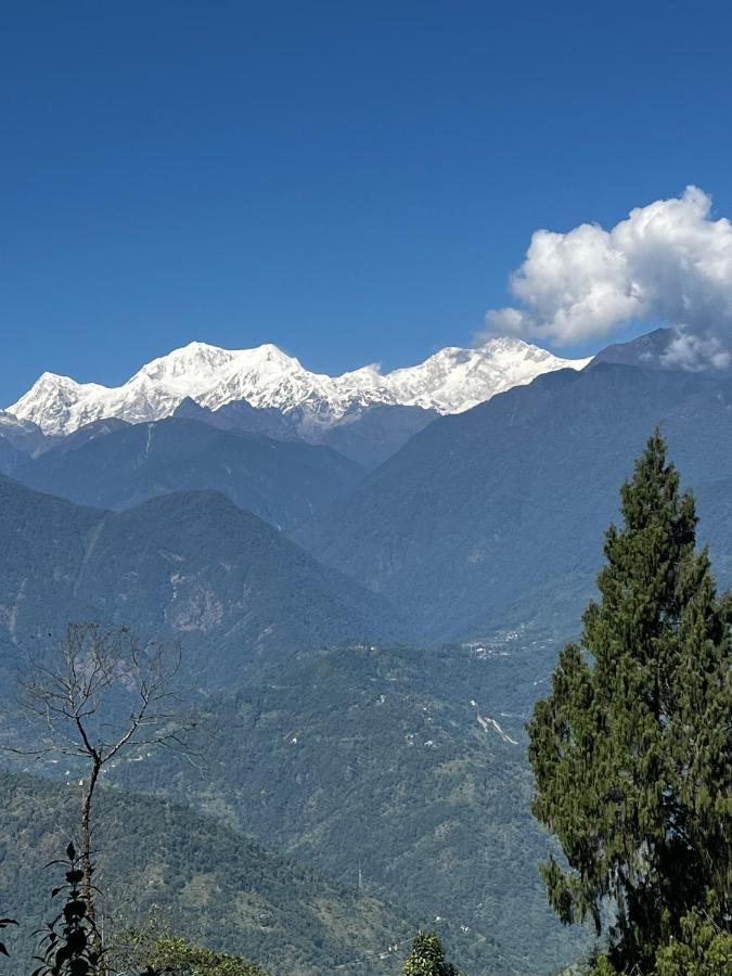 The Nettle And Fern Farmstay Pelling Exterior photo