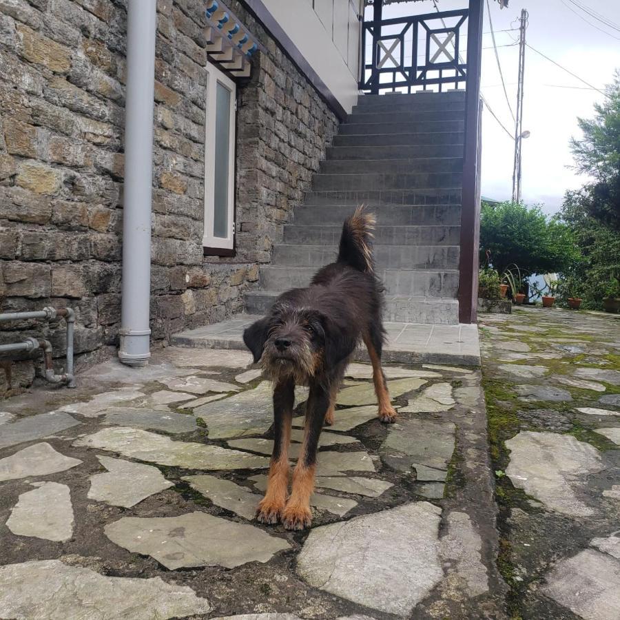 The Nettle And Fern Farmstay Pelling Exterior photo